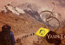 Yolların Fısıldadığı Hayatlar: Seyahat ve Hayat